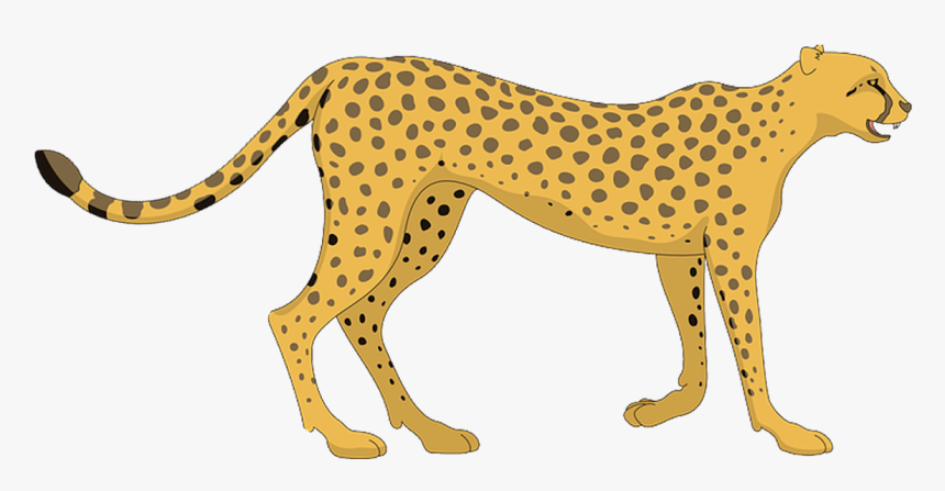 Cartoon Cheetah Transparent Background, HD Png Download, Free Download