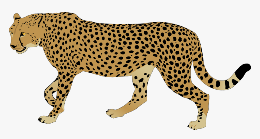 Cheetah Images Clipart Clipart - Cheetahs Clip Art, HD Png Download, Free Download