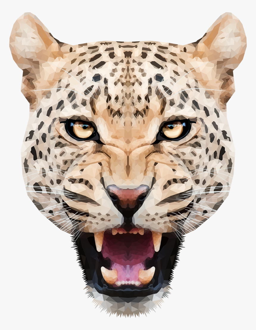 Leopard - Leopar Png, Transparent Png, Free Download