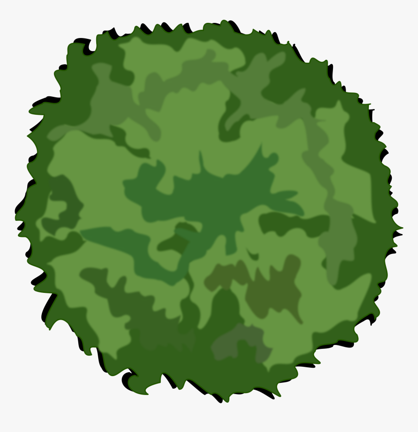 Tree Top Png - Tree Icon Top View, Transparent Png, Free Download
