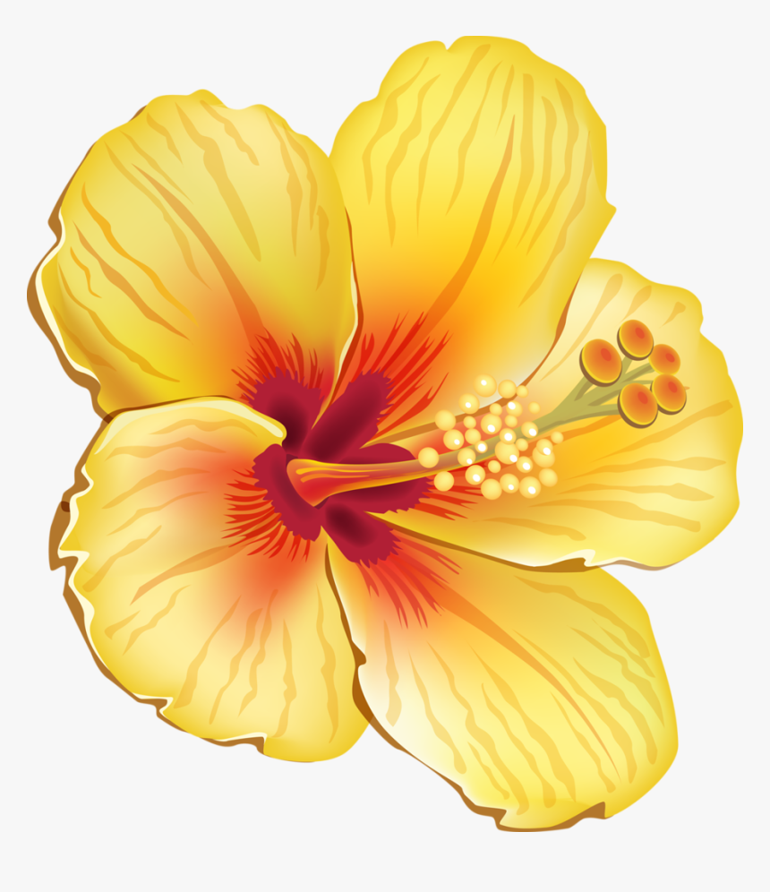 More From My Site - Tropical Flower Vector Png, Transparent Png, Free Download