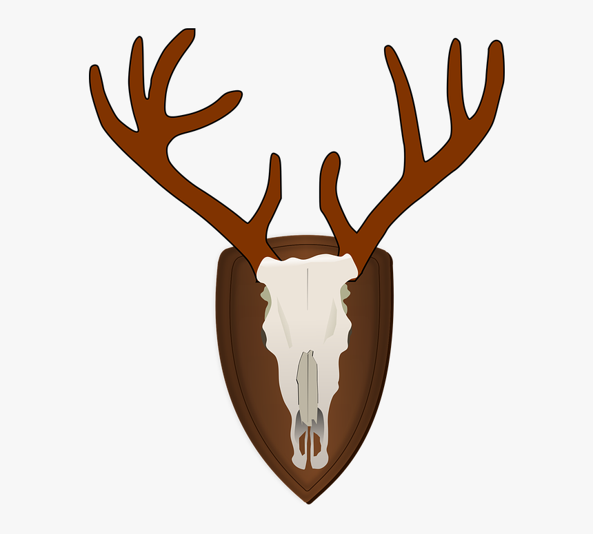 Antlers, Deer, Gamekeeper, Hunter, Skull, Trophy - Hunting Clipart Png, Transparent Png, Free Download