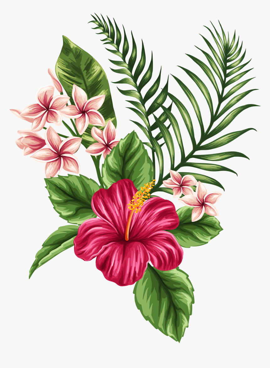Svg Transparent Tropical Watercolor Flowers Leaves - Hibiscus Hawaiian Flower Drawing, HD Png Download, Free Download