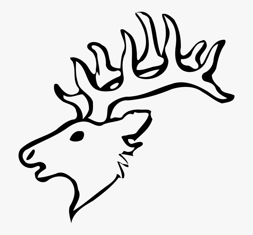 Reindeer, Head, Black And White, Horns, Animal, Mammal - Elk Head Drawing Easy, HD Png Download, Free Download
