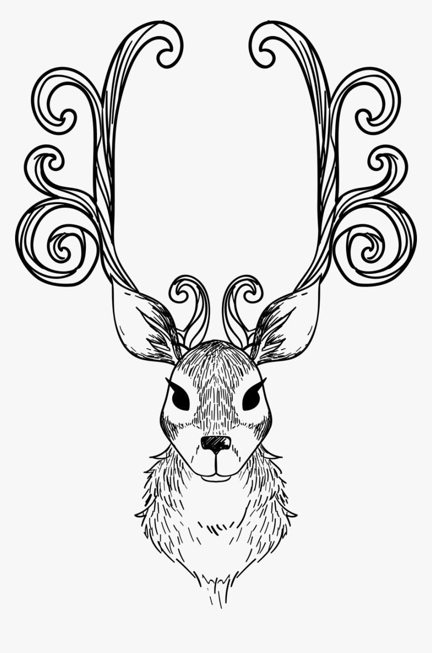 Animal Drawings For Adults, HD Png Download, Free Download