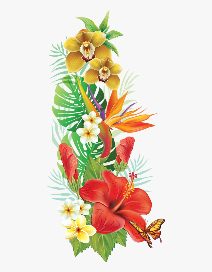 Hawaiian Tropical Flowers Png, Transparent Png, Free Download