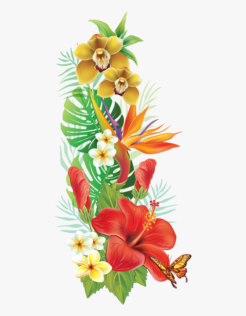 Tropical Flowers Png - Wedding background card floral decorative border ...