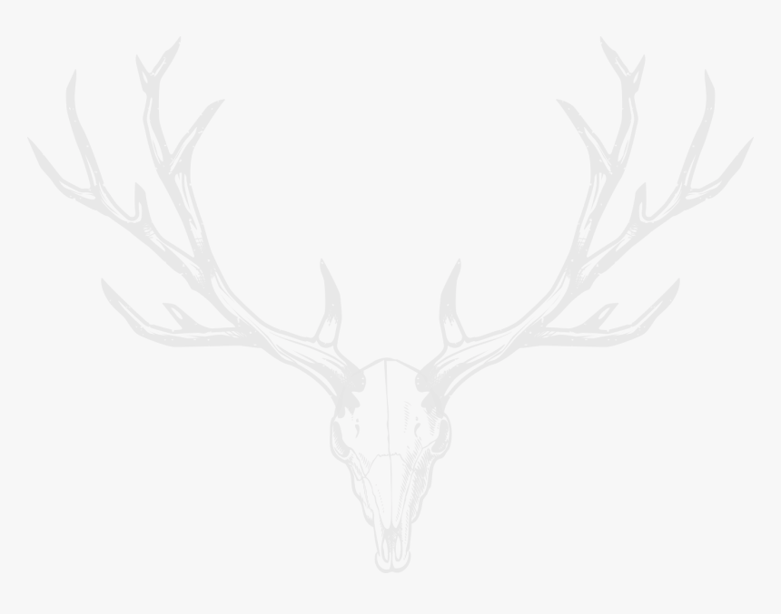 White Antlers Transparent, HD Png Download, Free Download