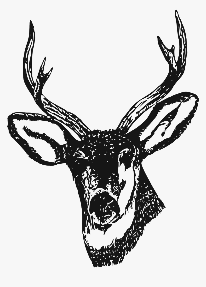 Deer Head Clip Art, HD Png Download, Free Download