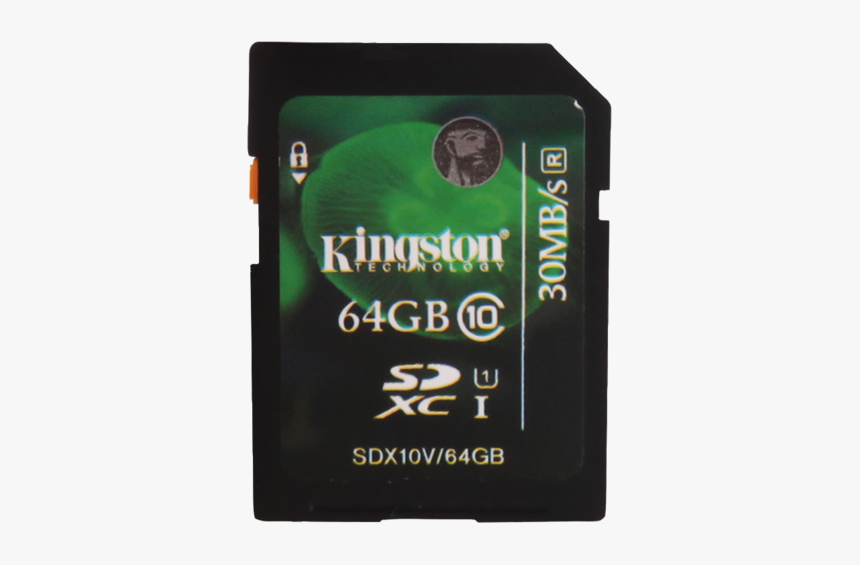 Micro Sd, HD Png Download, Free Download