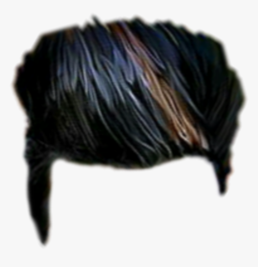 Hair Png, Hair Png Cb, Picsart Hair Png, Cb Hair Png, - Porcupine, Transparent Png, Free Download