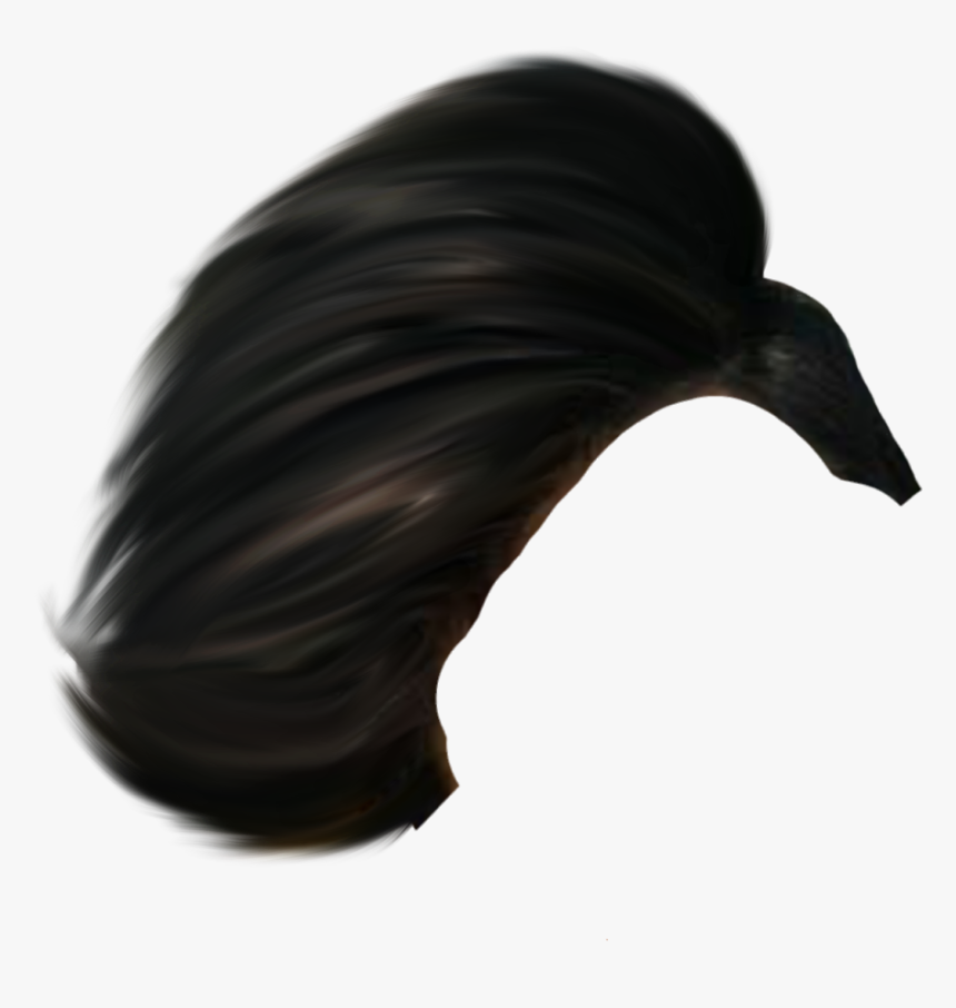 Autodesk Sketchbook Hair Png, Transparent Png - kindpng Autodesk Sketchbook Hair Png, Transparent Png - kindpng
