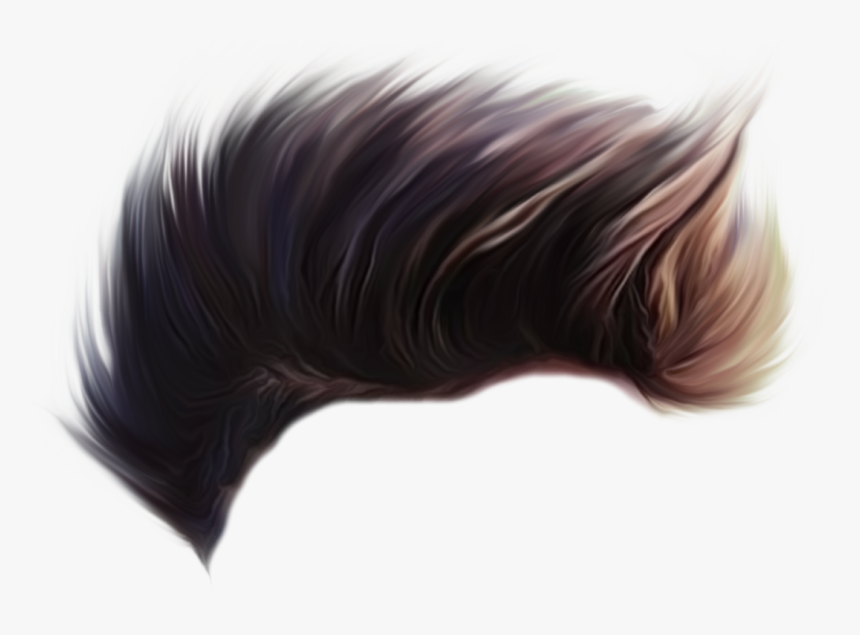 Hair Png - Hair Png Hd Boy, Transparent Png, Free Download