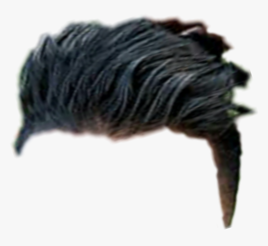 Hair Png, Hair Png Cb, Picsart Hair Png, Cb Hair Png, - Pest, Transparent Png, Free Download