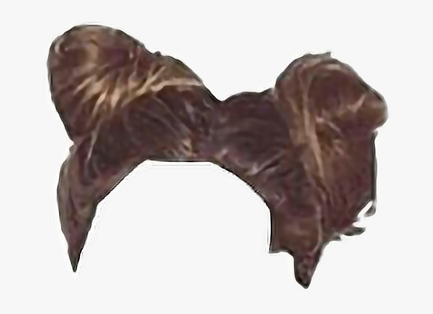 Png - Hairstyle - Chocolate, Transparent Png, Free Download