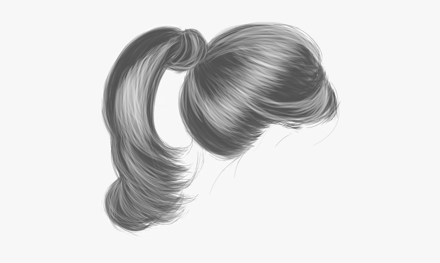 Chignon - Black Hair Ponytail Png, Transparent Png, Free Download