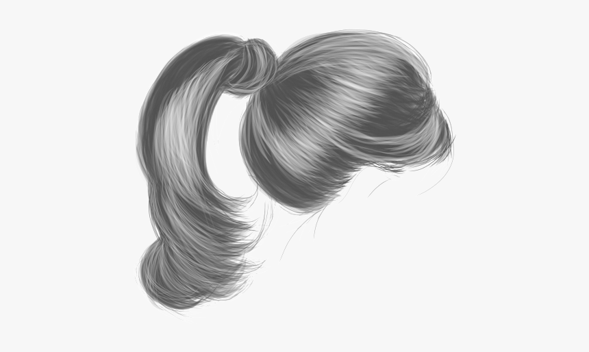 Chignon Black Hair Ponytail Png Transparent Png Kindpng