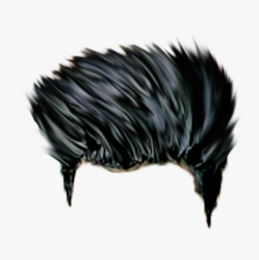 Png Cb Hair Hd, Transparent Png, Free Download