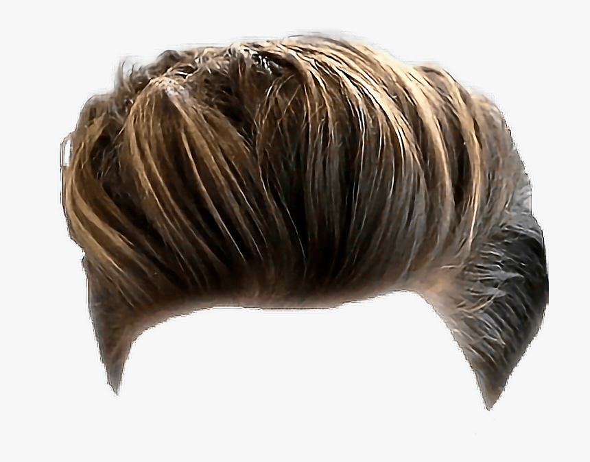 Transparent Wig Png Transparent - Png Hairstyle Boy Picsart, Png Download, Free Download