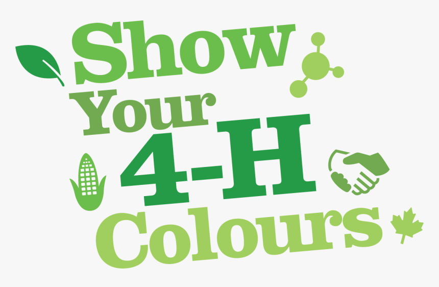Showyour4-h Colours Logo 2019 Rgb Angle - Poster, HD Png Download, Free Download
