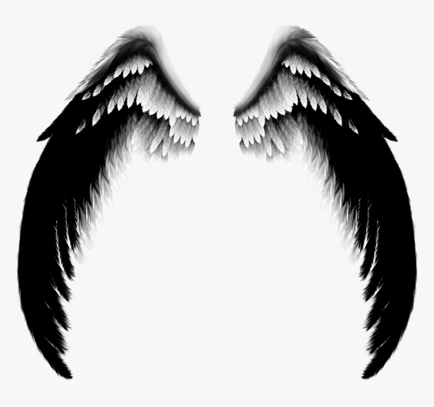 Real Black Angel Wings, HD Png Download, Free Download