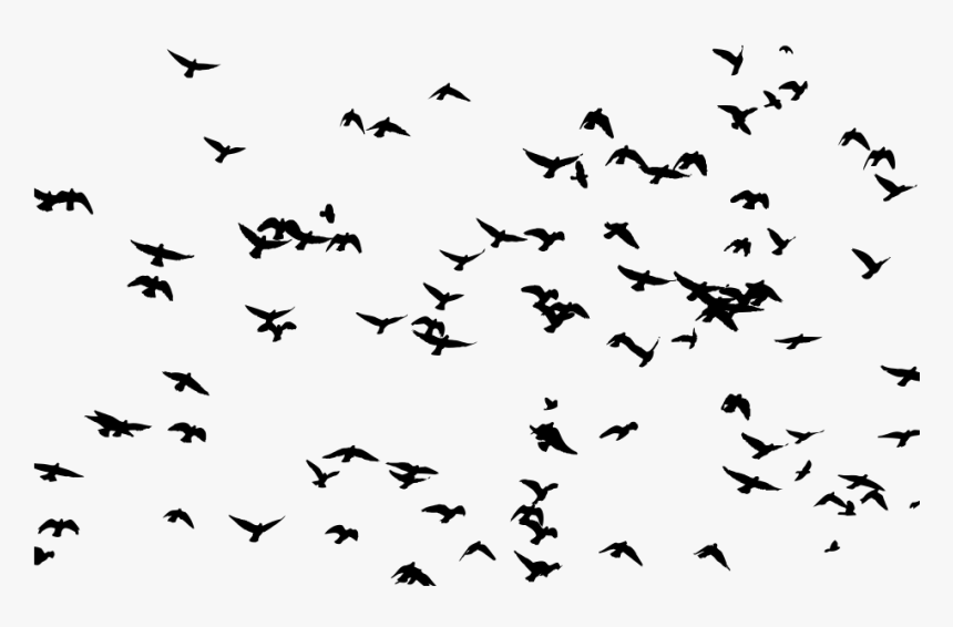 Large Flock Of Birds Silhouette - Flock Of Birds Silhouette Png, Transparent Png, Free Download