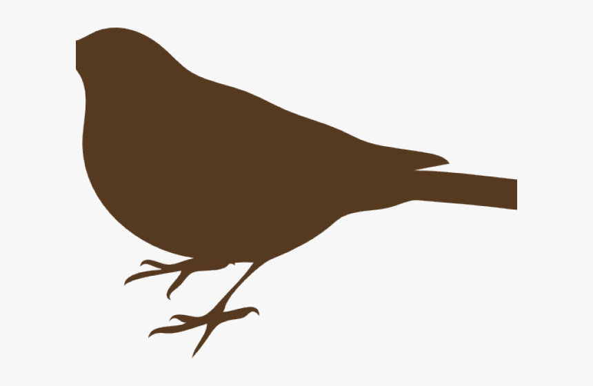 Transparent Robin Bird Png - Bird Silhouette Clip Art, Png Download, Free Download