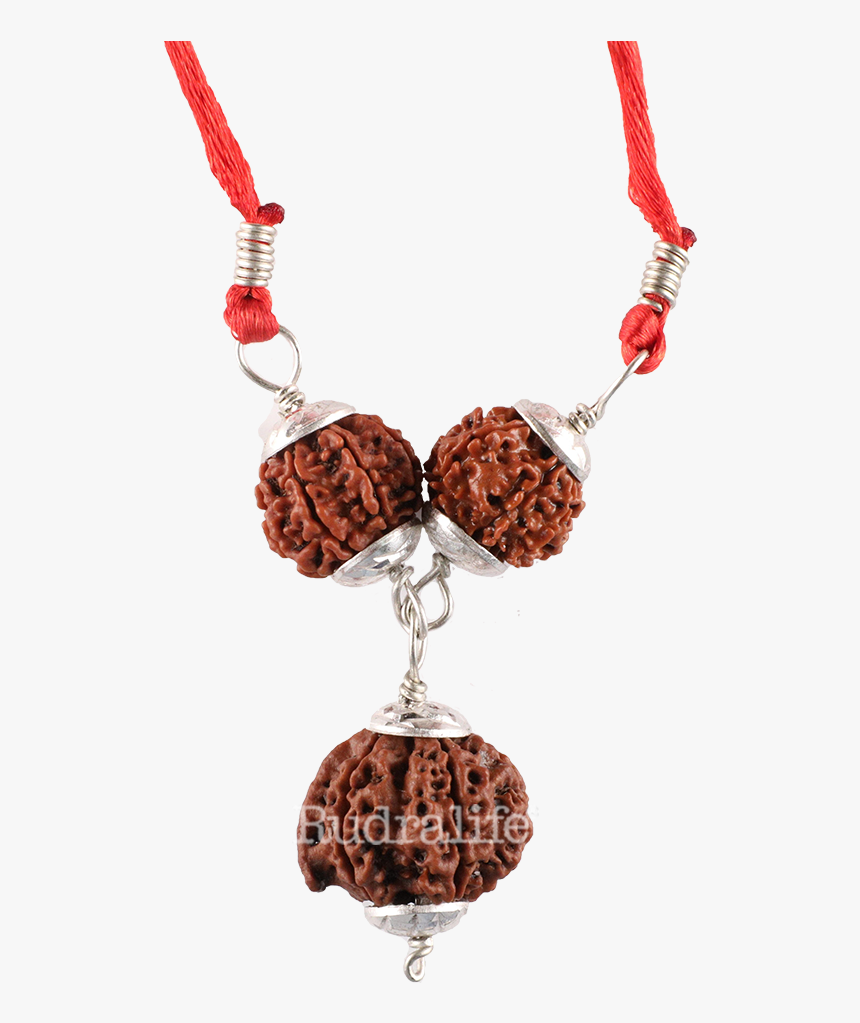 Rudraksha Ganesh-laxmi Bandh™ Rudraksha - Necklace, HD Png Download, Free Download