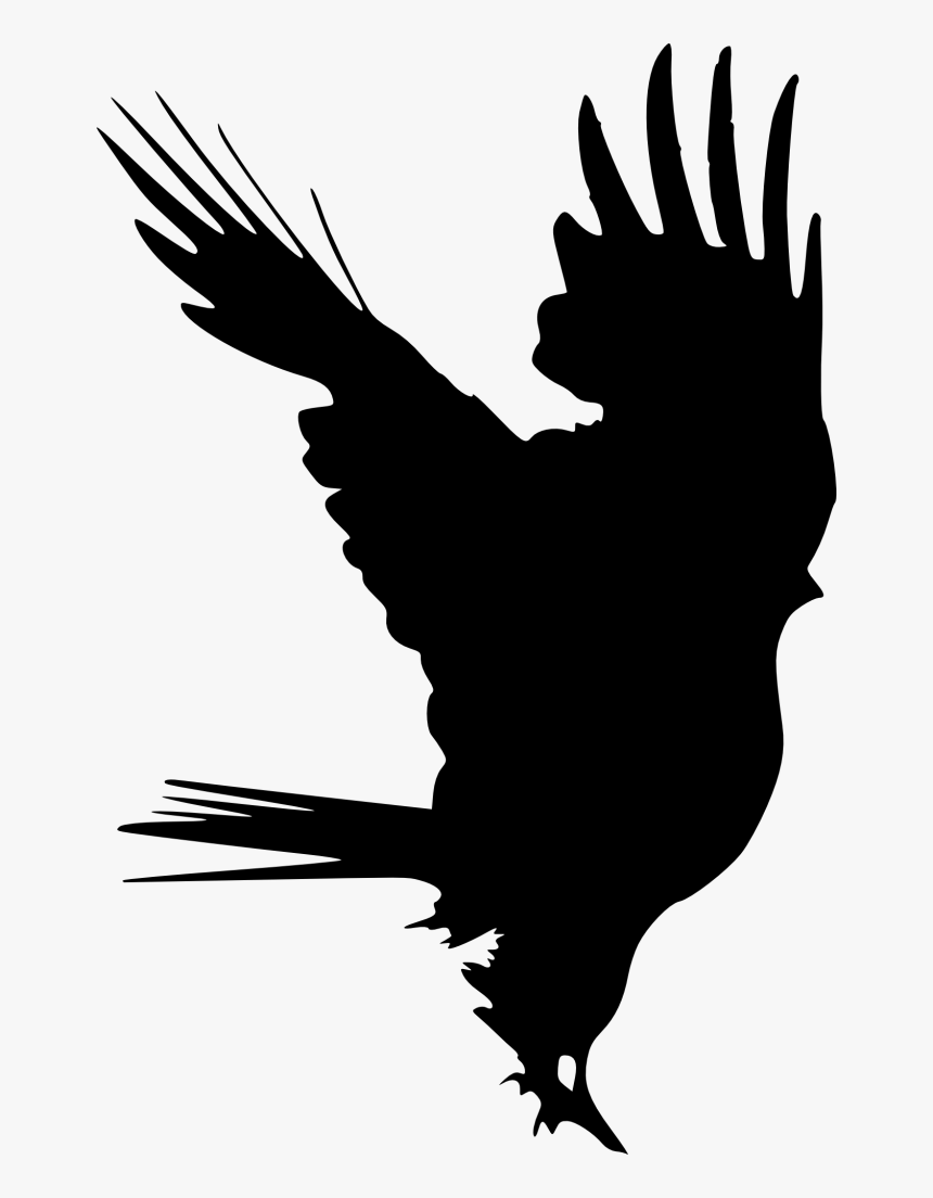 Bird Logo Png Format, Transparent Png, Free Download