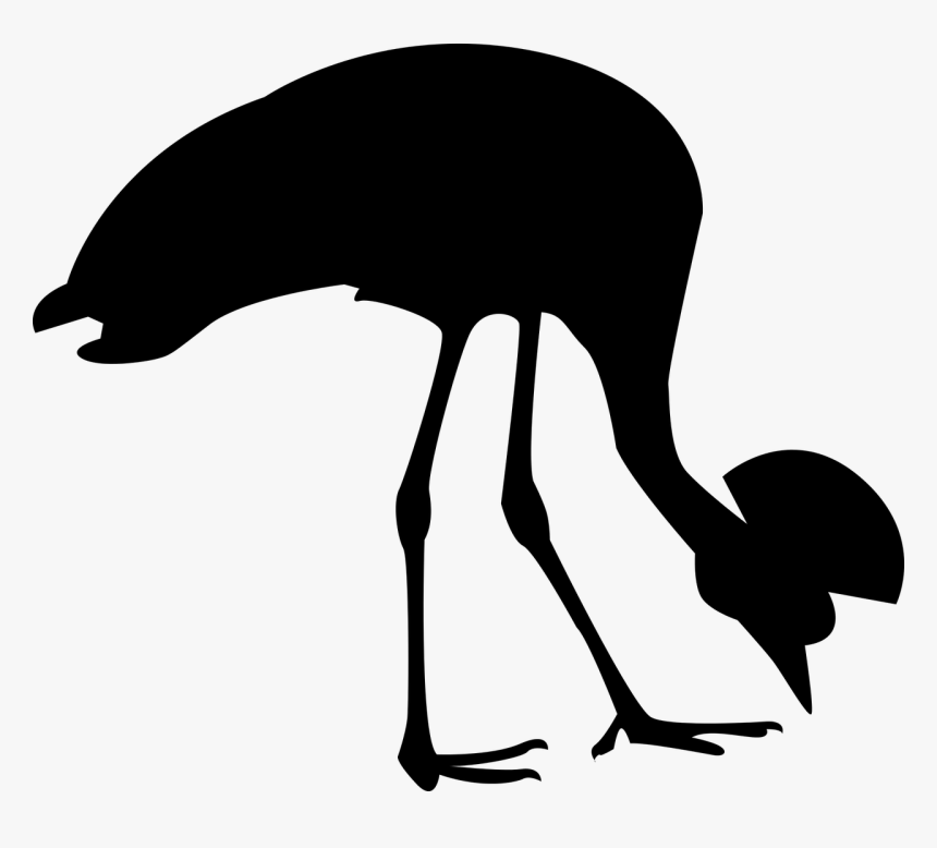 Transparent Ostrich Clipart - Grey Crowned Crane Silhouette, HD Png Download, Free Download
