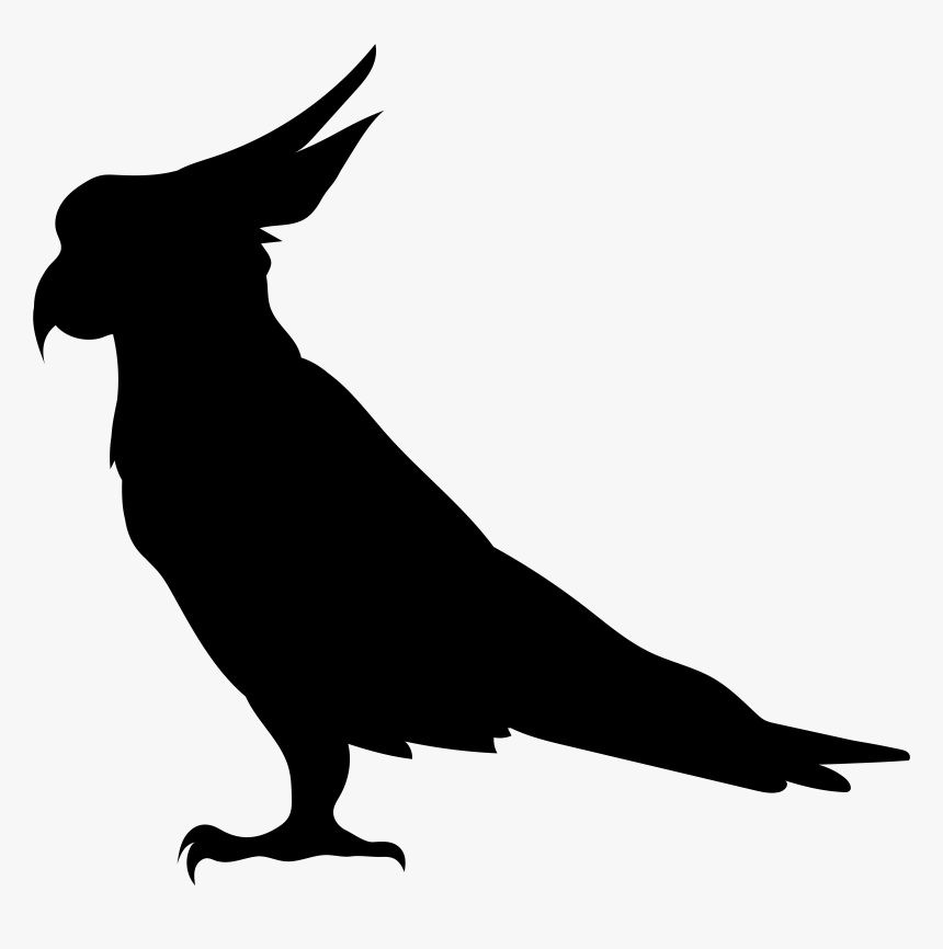 Bird Silhouette Illustration, HD Png Download, Free Download
