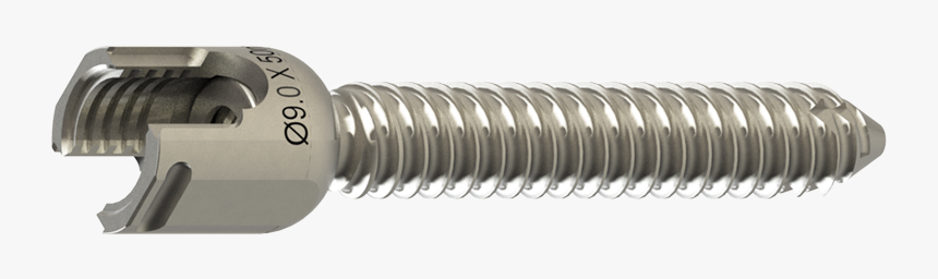 Captiva Spine Larger Diameter Pedicle Screw - Spine Pedicle Screw, HD Png Download, Free Download