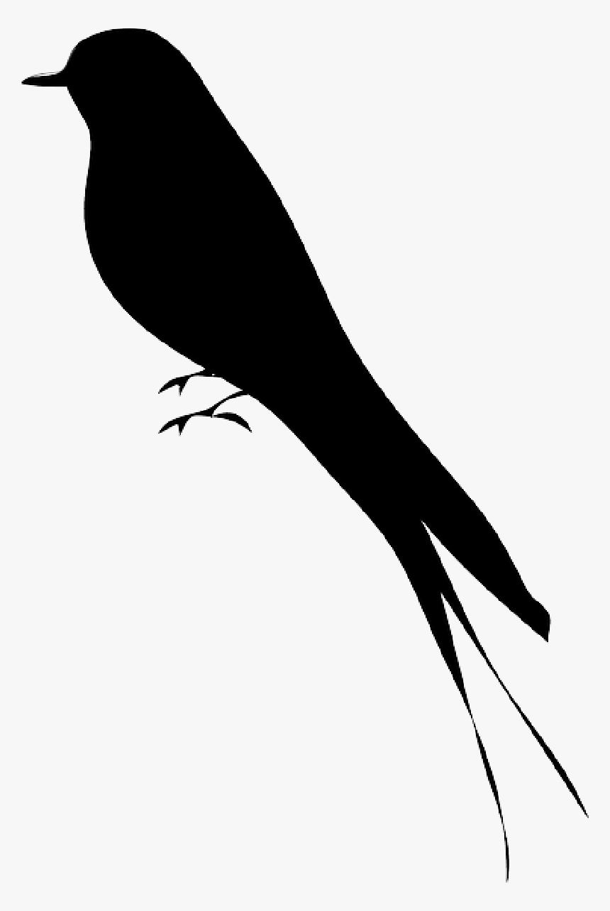 Silhouette, Tree, Cartoon, Birds, Bird, - Mockingbird Silhouette Png, Transparent Png, Free Download