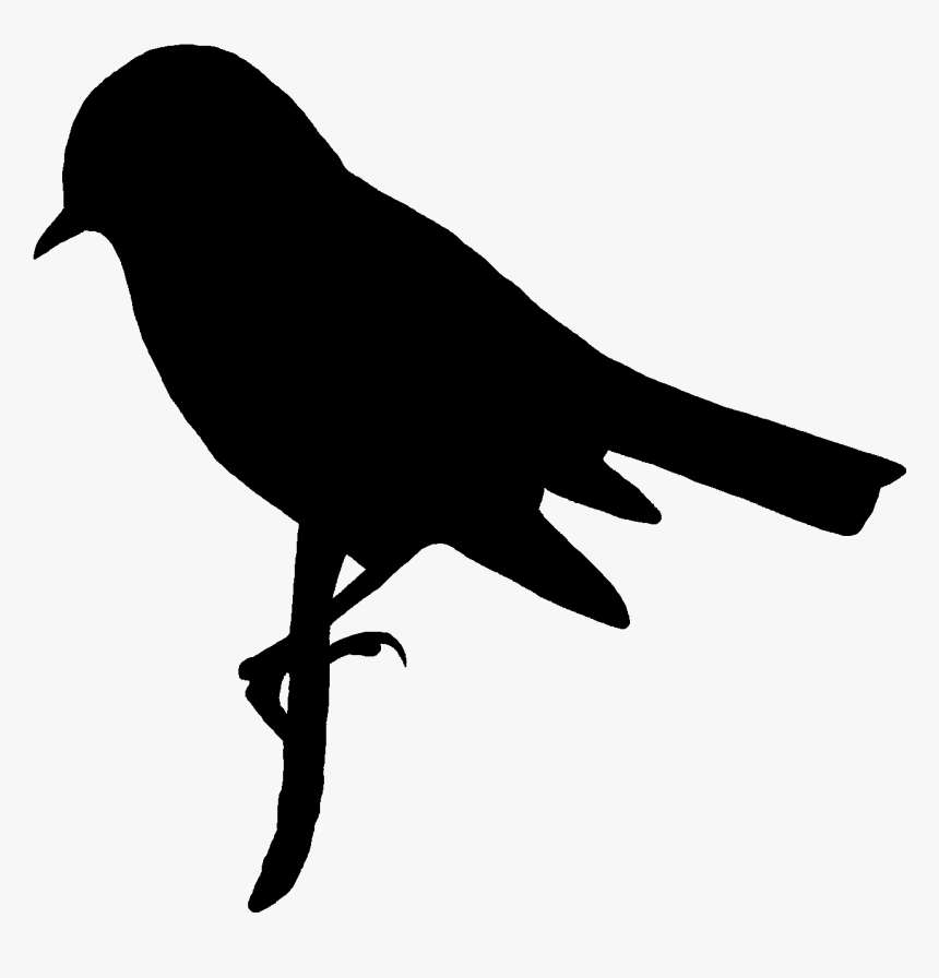 Printed Bird Silhouette, HD Png Download, Free Download