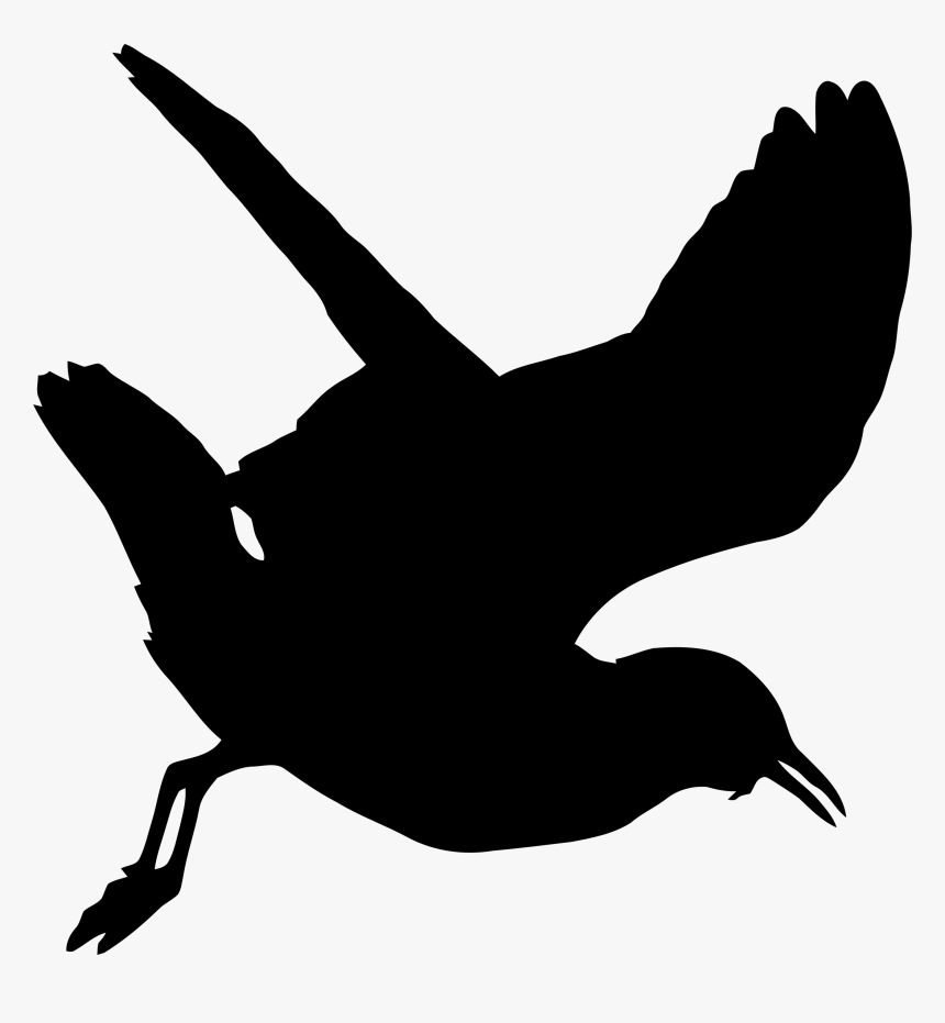 Seagull Silhouette Png - Png Seagull Silhouette Png, Transparent Png, Free Download