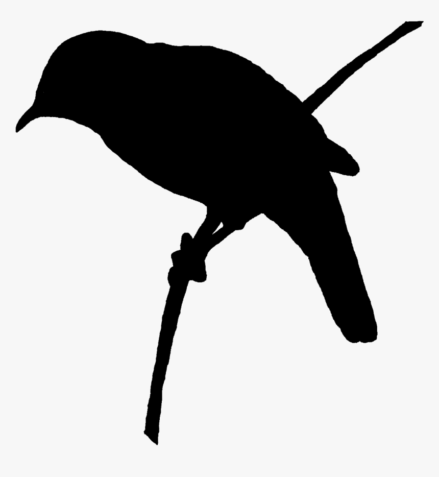 Perched Bird Silhouette Art, HD Png Download, Free Download