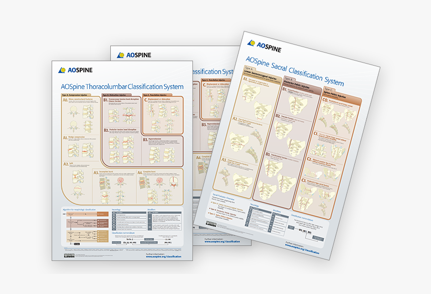 Aospine Classifications, HD Png Download, Free Download