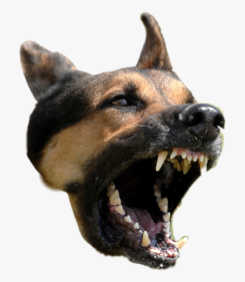 #dog #rage - Angry Dog No Background, HD Png Download, Free Download