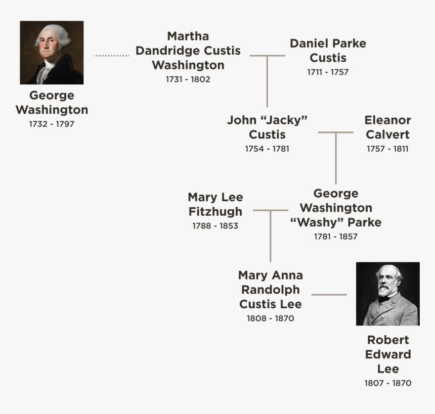 Mary Lee Family Tree, HD Png Download, Free Download