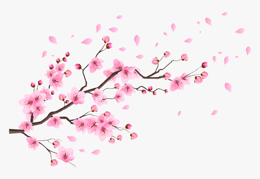 Cherry Blossom Petals Png - Transparent Spring Cherry Blossom Clipart, Png Download, Free Download