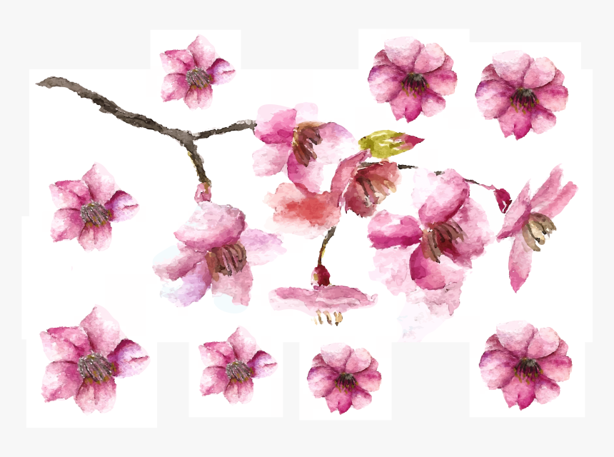 Cherry Blossom Petals And Branch Fake Tattoo, Cherry - Cherry Blossoms Drawing Flowers, HD Png Download, Free Download