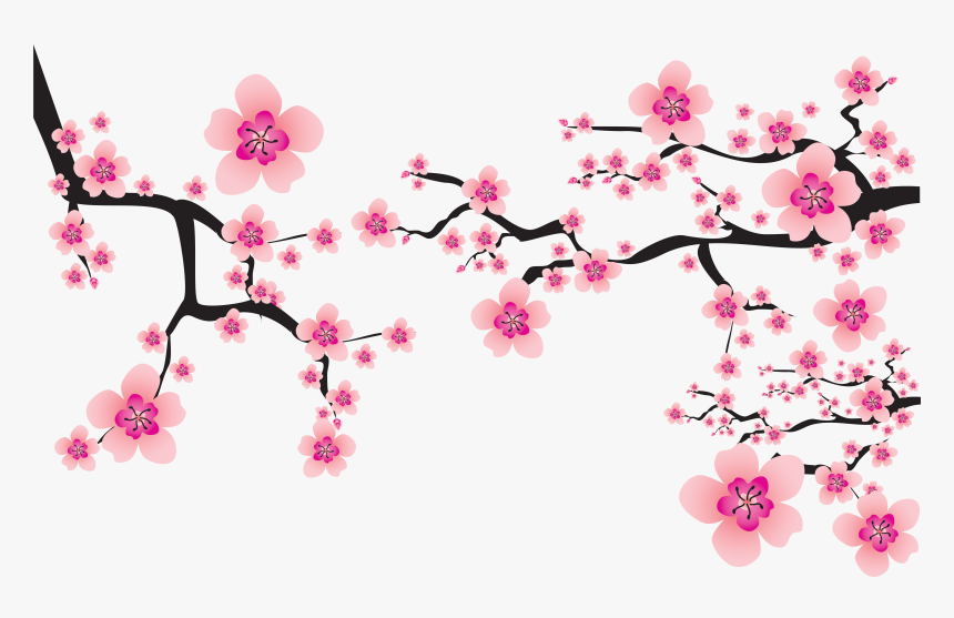 Sakura Png - Transparent Cherry Blossom Flower, Png Download, Free Download