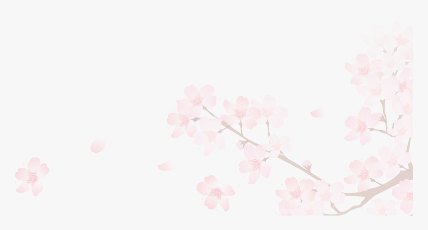 Sakura Png - Transparent Background Sakura Png, Png Download, Free Download