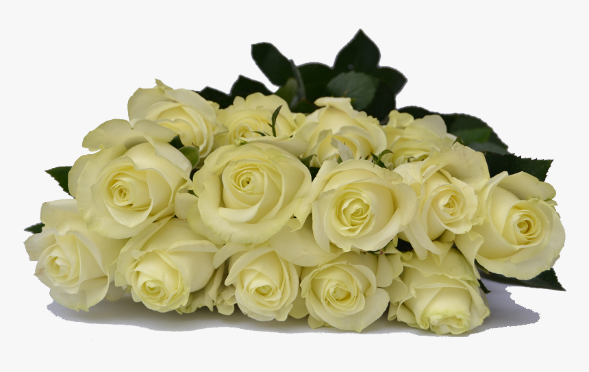 White Rose Bunch Png, Transparent Png, Free Download