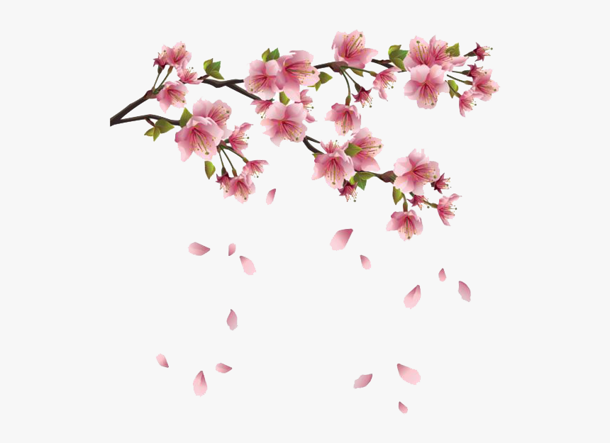 Flower Spring Branch Clip Art - Transparent Sakura Flower Png, Png Download, Free Download