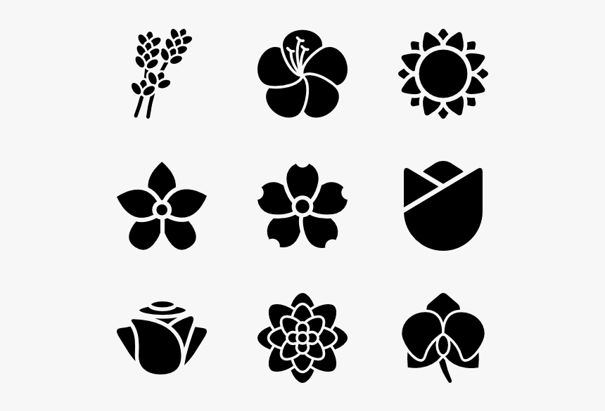 Flowers Species - Transparent Background Png Transparent Flower Icon, Png Download, Free Download