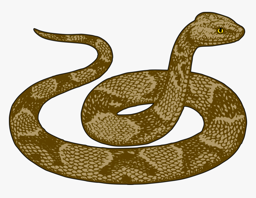 Snakes Rattlesnake Desert Kingsnake Garter Snake Download - Snake Clipart, HD Png Download, Free Download