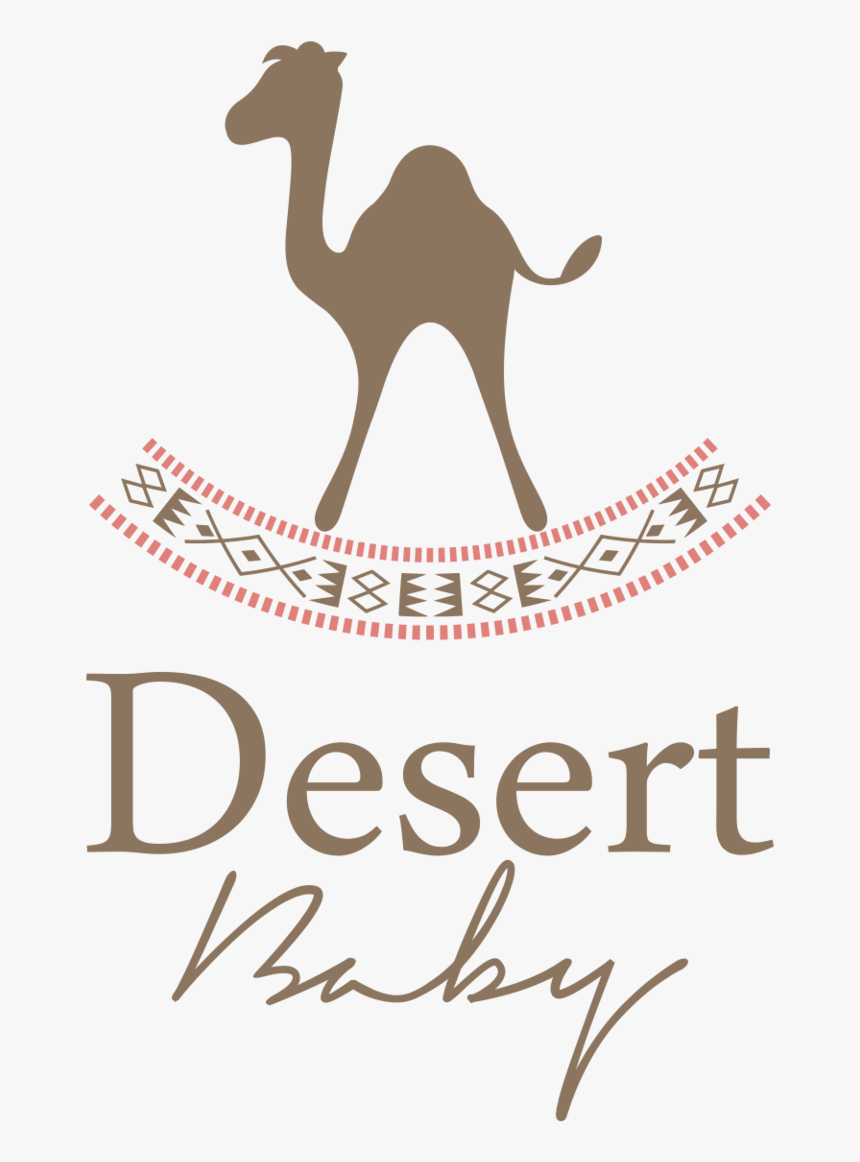 Desert Baby - Beer Pong, HD Png Download, Free Download