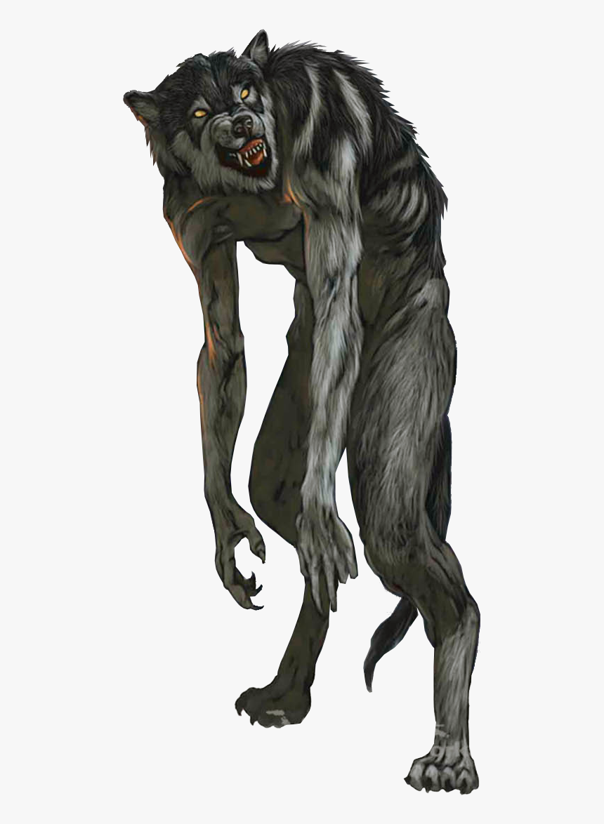 Werewolf Png Images Free Download - Werewolf Png, Transparent Png, Free Download