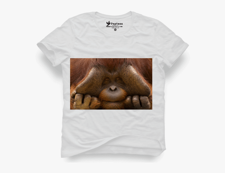 King Kong - Orangutan, HD Png Download, Free Download